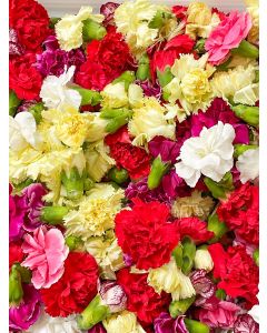 Pooja flowers 200g pkt (Carnation Heads)